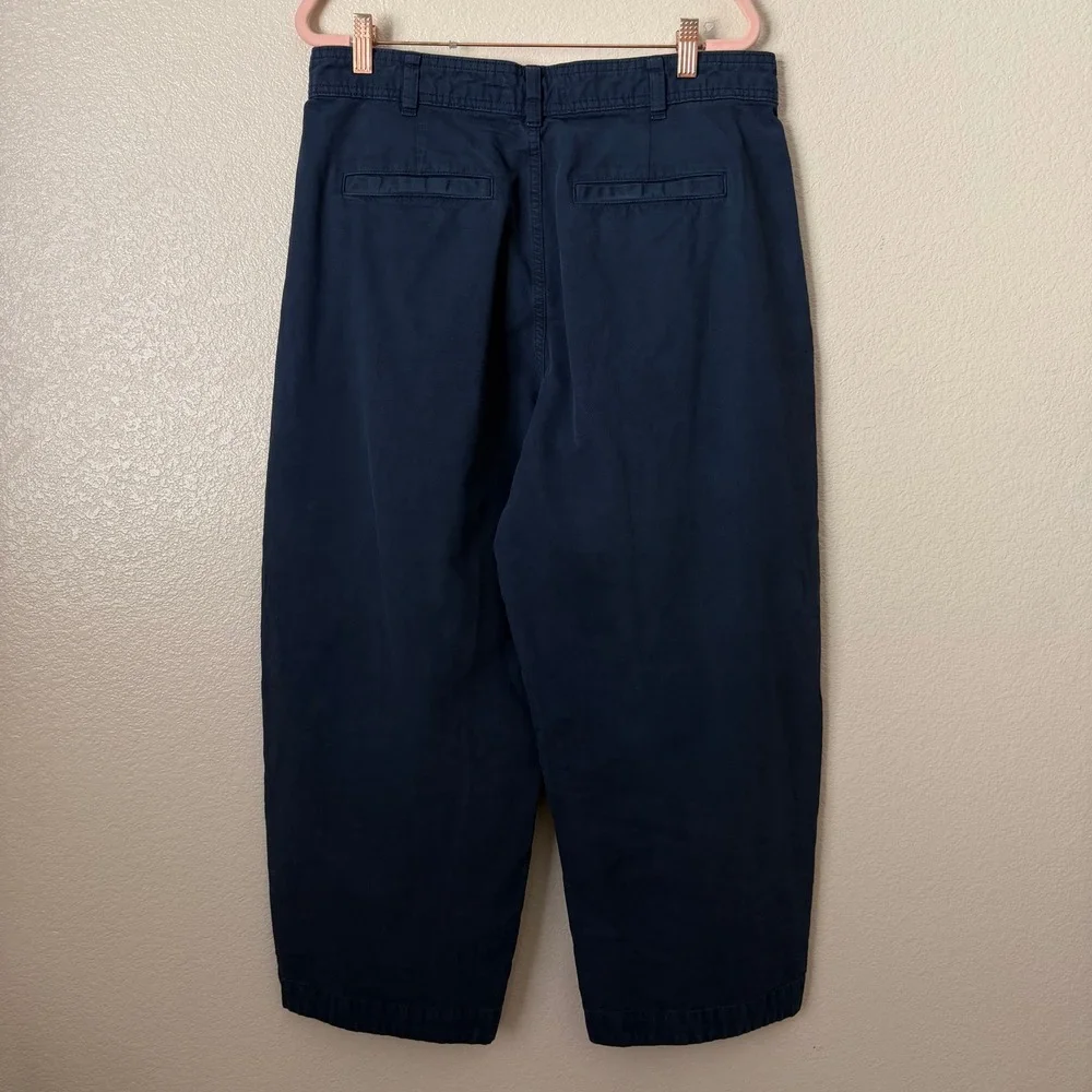 Everlane Pants Womens 12 Everywhere Barrel Pleated Chino Organic Cotton Linen